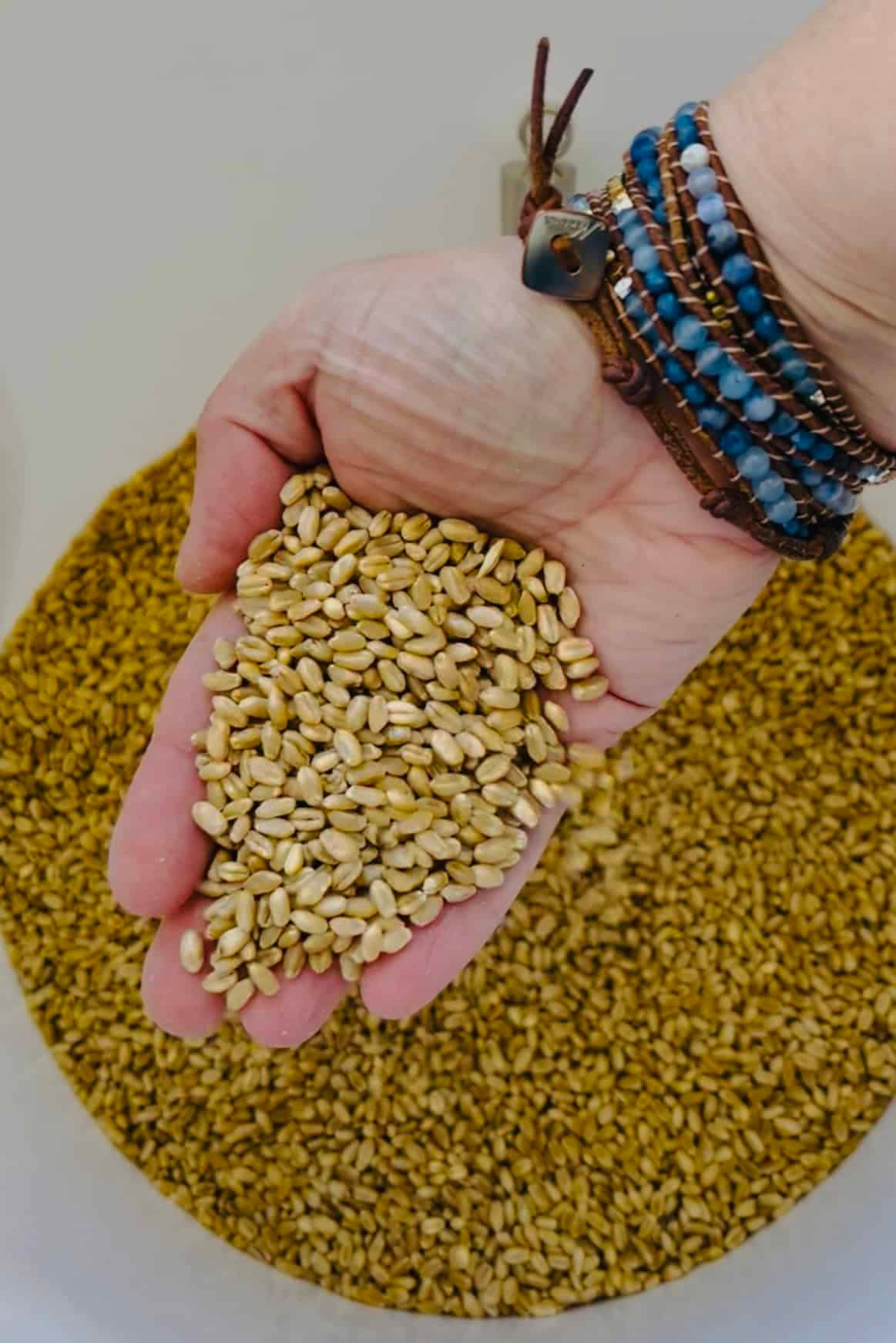 Grandma's Iron Skillet Fresh Milled Grains