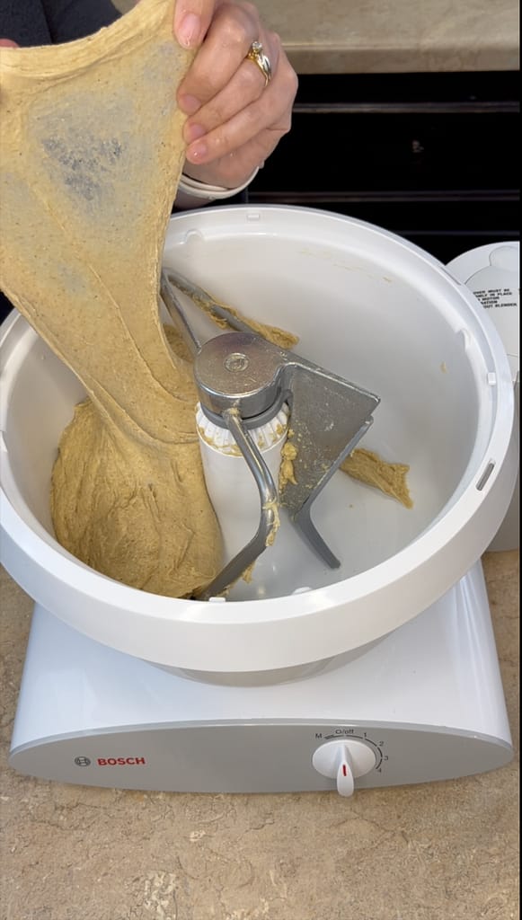 Fresh milled flour dough windowpane