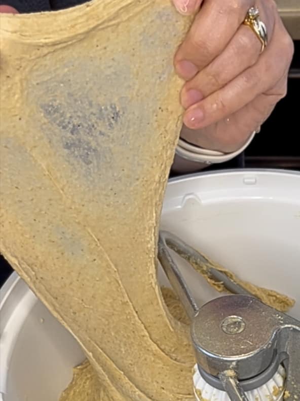 Windowpane knead in Bosch Universal Plus Stand Mixer