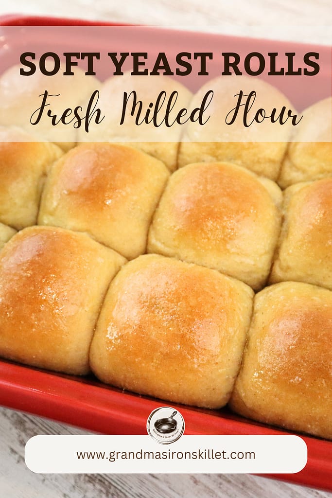 Soft Yeast Rolls Made with Fresh Milled Flour
